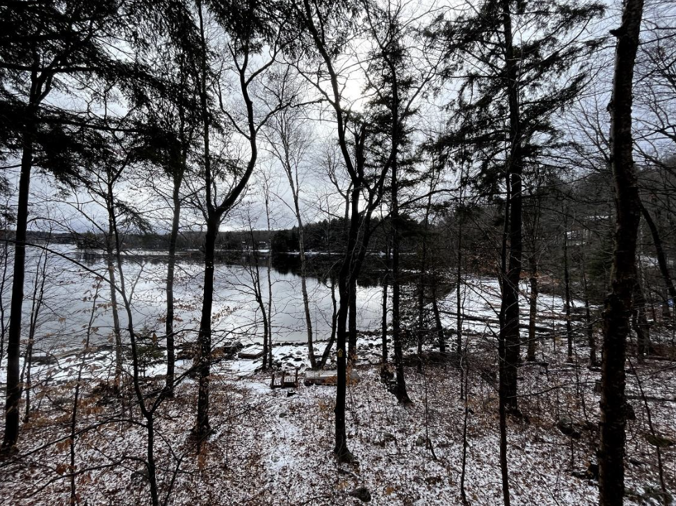 A frozen Percy Lake from shore, with sparse trees in the foreground.
